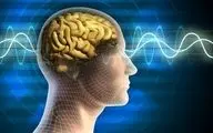 افزایش خطر مرگ و آلزایمر در افراد با مغزهای پیر