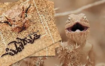 معرفی گونه های مختلف «خزندگان ایران» در شبکه سحر