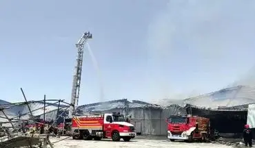مهار آتش‌سوزی در انبار دانه‌های روغنی بندر امام