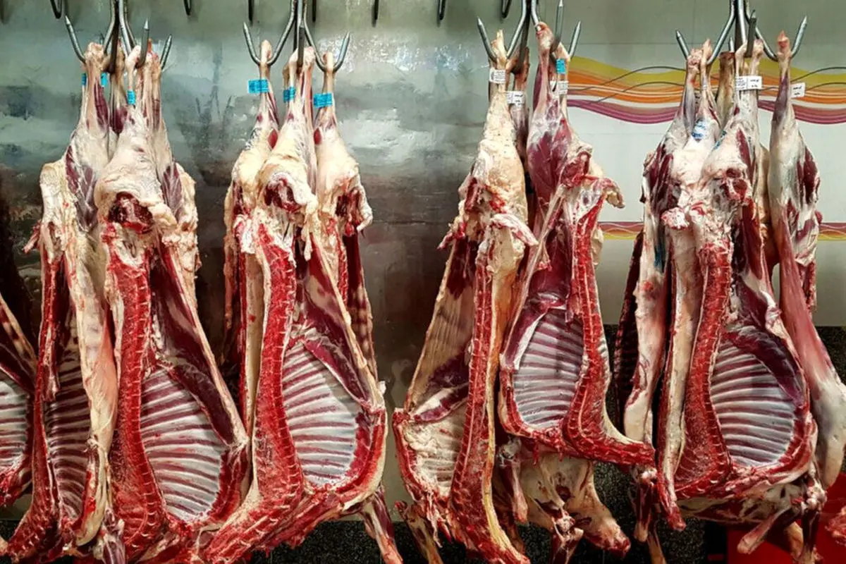 چرایی افزایش زیاد قیمت گوشت؟