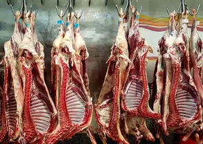 قیمت روز گوشت قرمز اعلام شد | نرخ گوشت گوسفندی و گوساله در ۱۵ مرداد ۱۴۰۴
