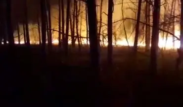 آتش، گریبانگیر بخش زیادی از جنگل‌های گیلان + فیلم