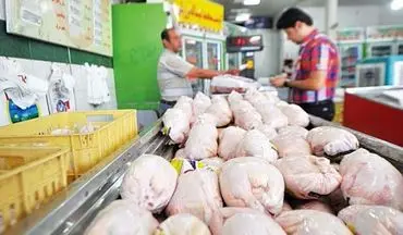 گران شدن مرغ به دلیل افزایش هزینه‌های تولید