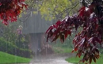 کلانتری : ایران با بارش های 80 میلیارد مترمکعبی اخیر از خطر کم آبی نجات یافت