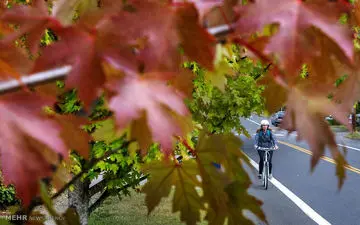 پرهیزهایی که هر مزاج باید در فصل پاییز باید داشته باشد