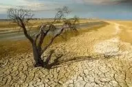 رگ‌های حیاتی کشور خشک شد | این آمار تاریخ را لرزاند