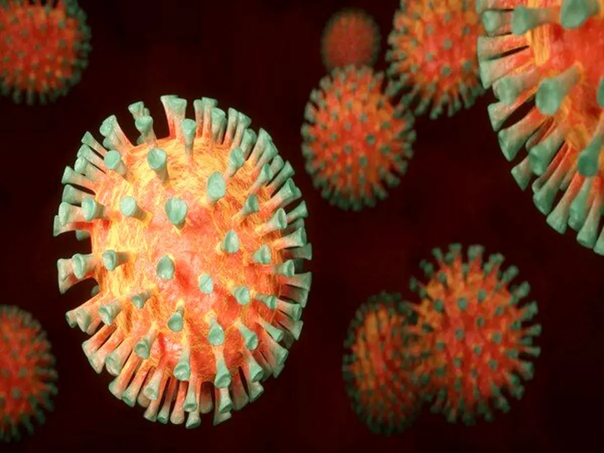 ویروس امیکرون در کادانا