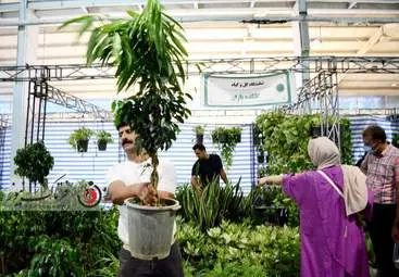 آغاز بکار هشتمین نمایشگاه تخصصی گل و گیاه و گیاهان دارویی در کرمانشاه
