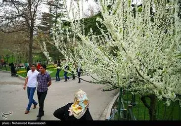 روز طبیعت در پارک ملت تهران + تصاویر