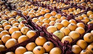  اگر پرتقال وارد نشود، قیمت سربه فلک می‌گذارد