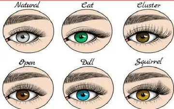  شخصیت شناسی از روی فرم مژه