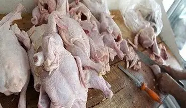 نکاتی ساده اما کاربردی در خرید مرغ/ آیا ارزش غذایی مرغ های درشت بیشتر است؟+فیلم