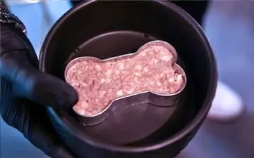 سگ‌ها هم صاحب رستوران اختصاصی شدند! + تصاویر جالب