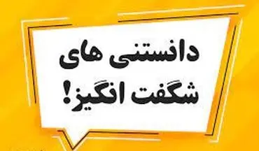  عجایب جالب و دانستنی‌های خارق العاده جنسی