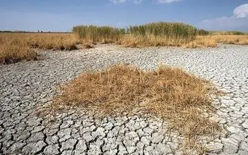  بی آبی در 355 دشت کشور
