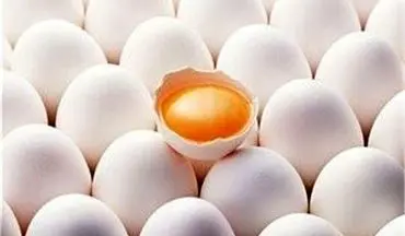 تخم‌مرغ ۳ روزه کیلویی ۸۰۰ تومان گران شد 