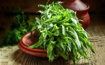 برای آشنایی با آنتی‌هیستامین‌های گیاهی این مطلب را بخوانید