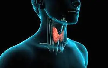 اگر این علائم را دارید شما مشکل تیروئید دارید 