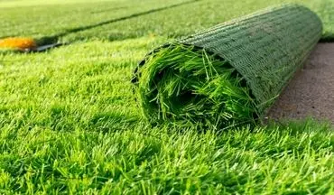 بدون این تست ساده، چمن مصنوعی نخرید