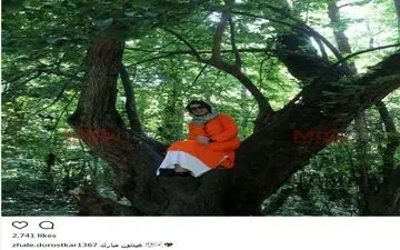 پوشش نارنجی و ژست جالب ژاله درستکار، بالای درخت (عکس)