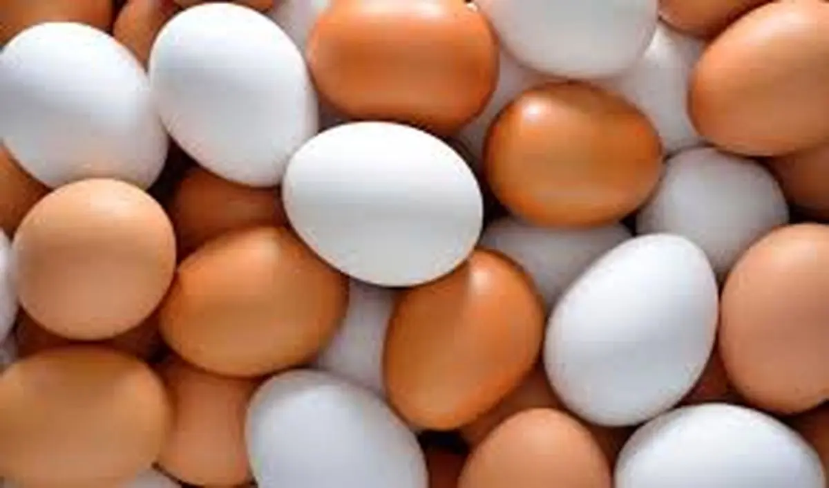 هر کیلو تخم مرغ 56 هزار تومان شد / رشد 18 درصدی قیمت تخم مرغ