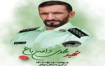 مامور انتظامی کرمانشاه در درگیری با اراذل به شهادت رسید