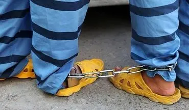 دستگیری یکجای 11 نفر در شهرستان نور