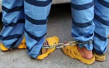 دستگیری یکجای 11 نفر در شهرستان نور