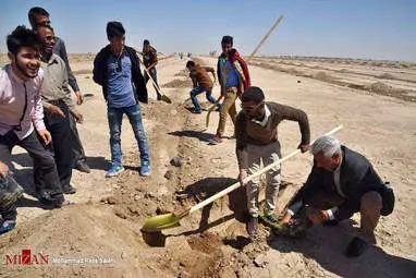 کاشت 4000 هزار هکتار نهال برای مبارزه با ریزگردها - خوزستان + تصاویر