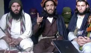  هلاکت سرکرده گروه تروریستی جماعت الاحرار پاکستان تایید شد