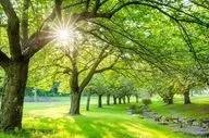  امسال تابستان از همیشه کوتاه‌تر است: ماجرا چیست؟