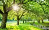  امسال تابستان از همیشه کوتاه‌تر است: ماجرا چیست؟
