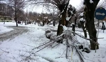 خسارت 15 میلیون تومانی برف به سازمان فنی و حرفه‌ای ملایر