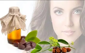 روغن جوجوبا: درمان‌گر طبیعی برای پوست و مو
