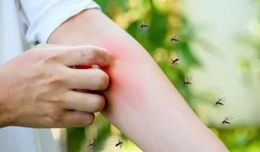 پشه‌ها بر چه اساسی بعضی‌ها را بیشتر نیش می‌زنند؟