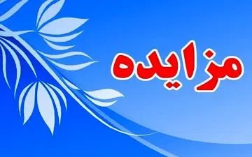 مفهوم اقتصادی مزایده چیست؟ 