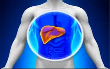 هشت علامتی که زنگ خطر ابتلا به آسیب کبدی هستند 