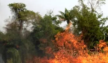 آتش سوزی مراتع در سالندکوه دزفول مهار شد