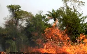 آتش سوزی مراتع در سالندکوه دزفول مهار شد