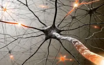 قاتلین سلول های عصبی بشناسید!