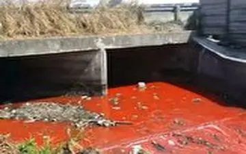 رودخانه‌ای به رنگ خون