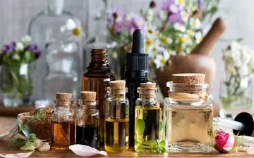 آشنایی با بهترین مرطوب‌کننده‌های گیاهی پوست

