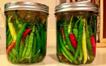 ترشی فلفل سبز خونگی و فوق العاده خوشمزه رو این طوری درست کن