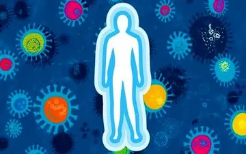 چگونه با پیری سیستم ایمنی مبارزه کنیم؟