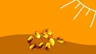 آشنایی با علائم کمبود کلسیم در بدن