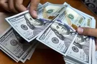  قیمت دلار در وضعیت قطعی اینترنت / یک پله صعود رقم خورد 