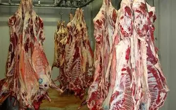 گوسفندان مقصر گرانی گوشت هستند!/مسئولان پاسخگو نیستند