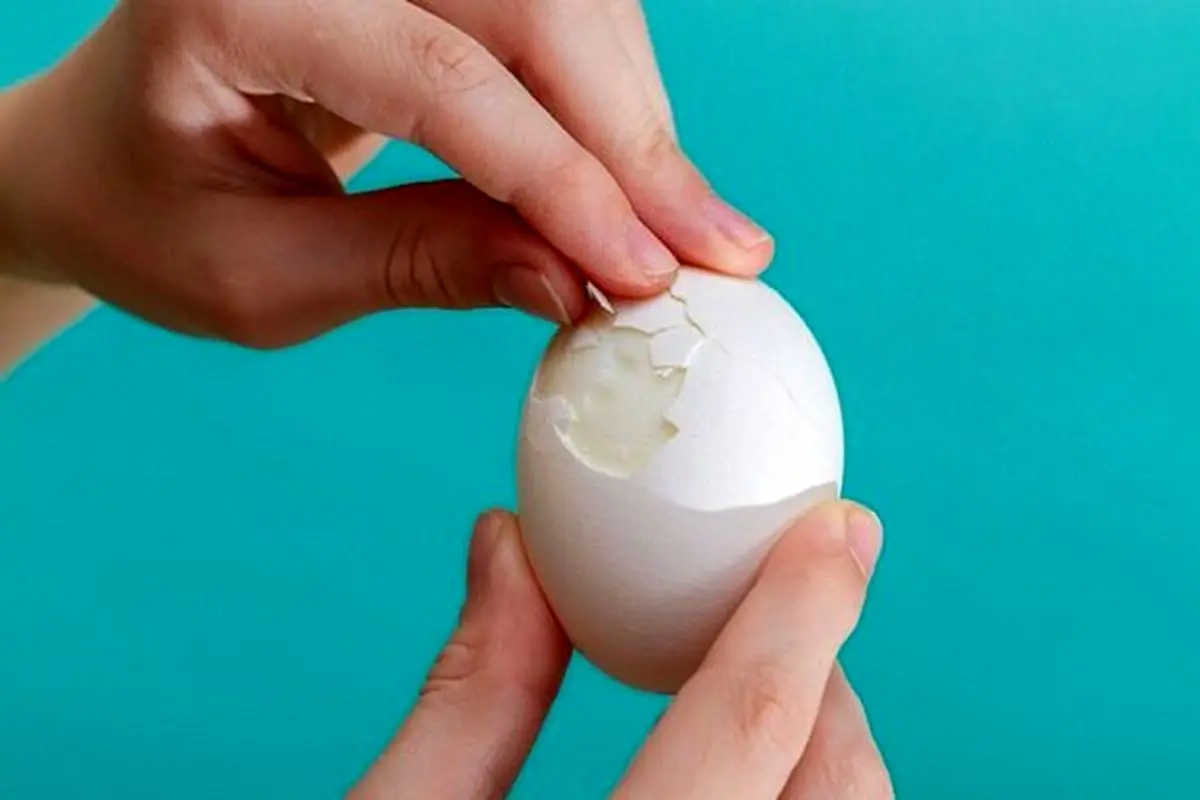 جایگزین‌های متنوع به جای مصرف تخم‌مرغ در غذاها
