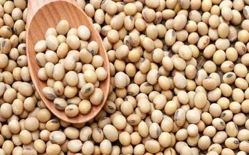 سویا، خواص و ارزش غذایی آن
