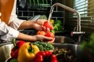 استفاده از  نمک، سرکه یا جوش شیرین برای ضدعفونی کردن میوه و سبزیجات کافی است؟